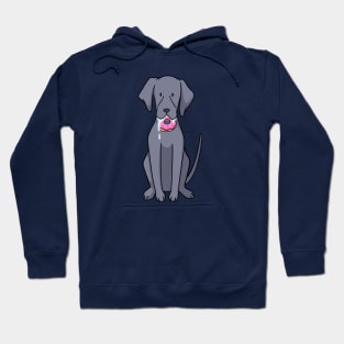 Dog eating donut cartoon Hoodie